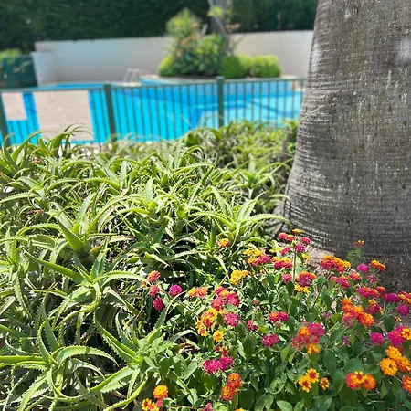Paradis